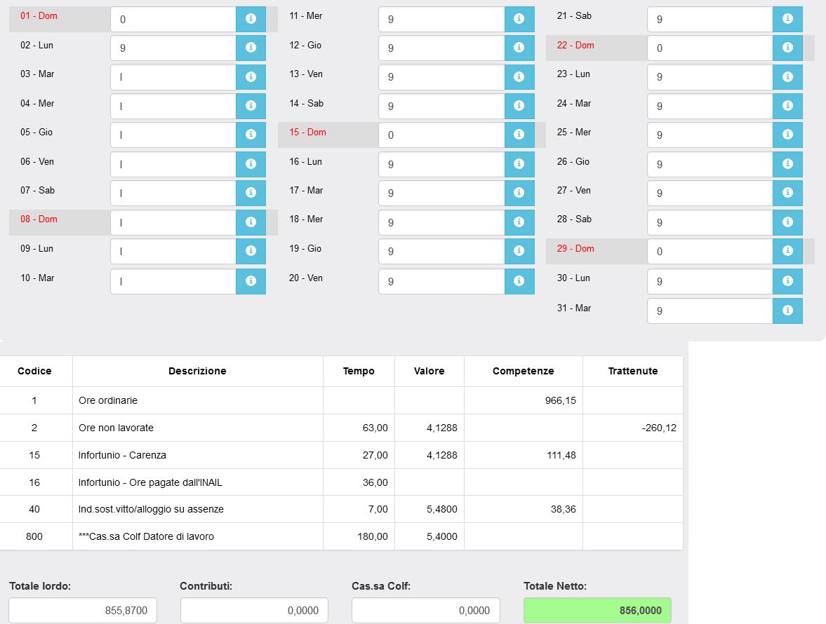 Busta paga baby sitter infortunio